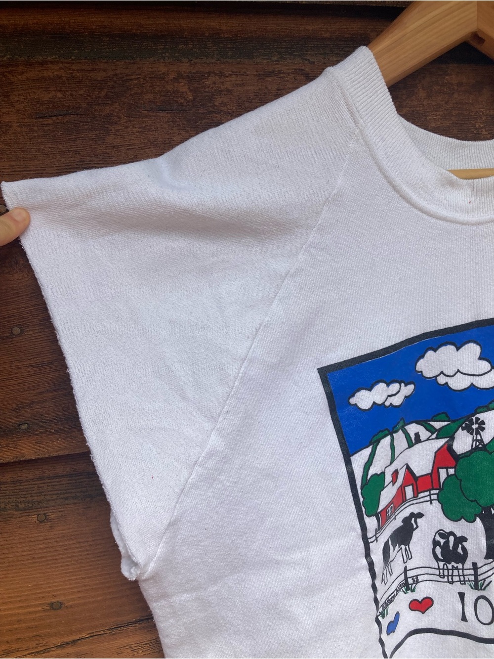 Cut-Off Vintage Iowa Sweatshirt - Picture 3 of 7